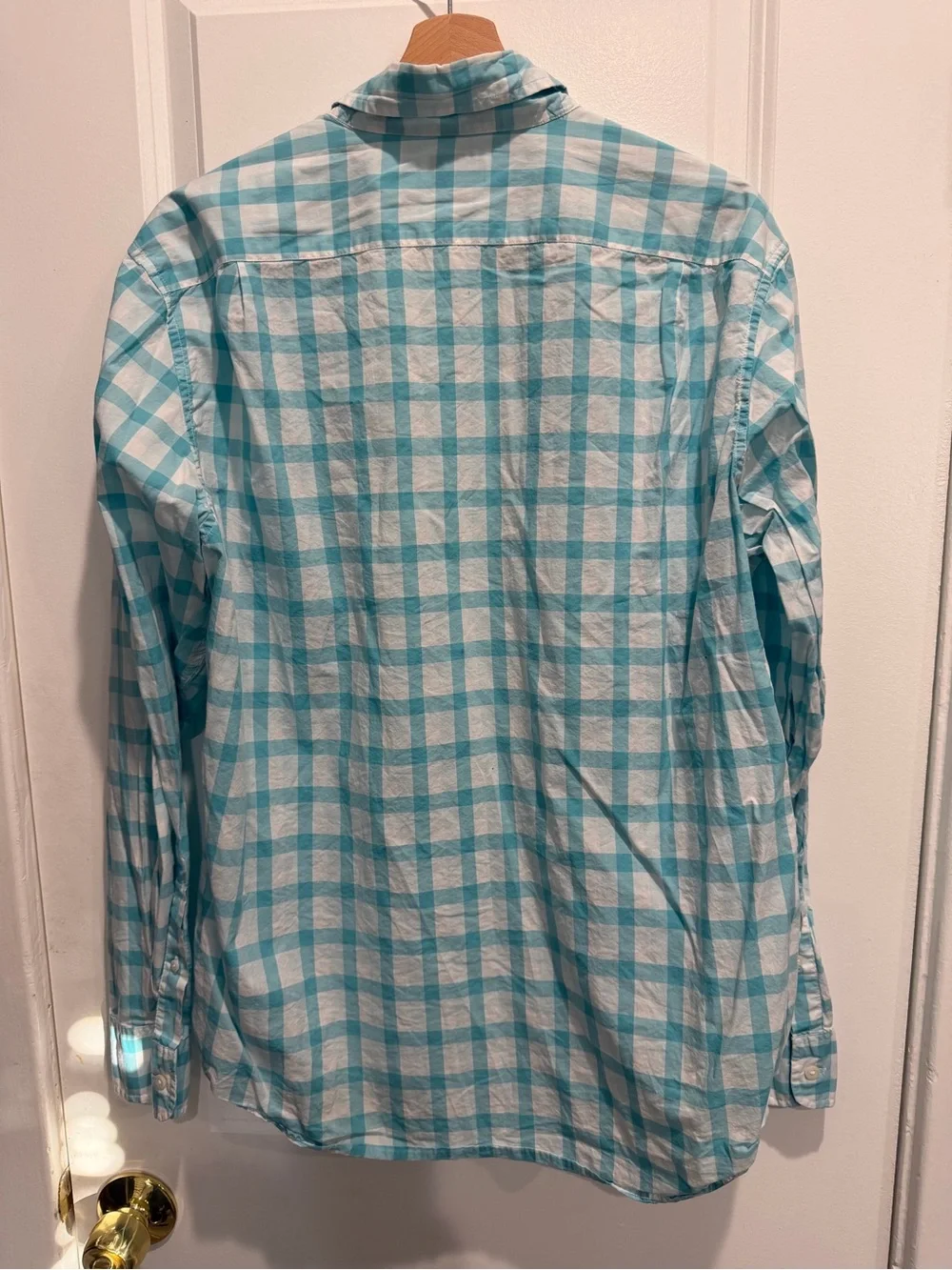 J. Crew Men’s Aqua and White Plaid Button-Down Shirt